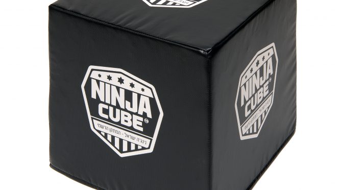 קוביית נינג'ה